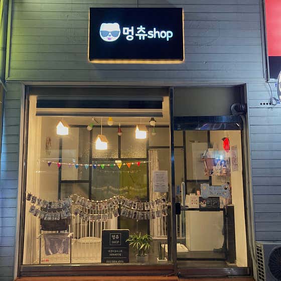 멍츄샵 대표이미지
