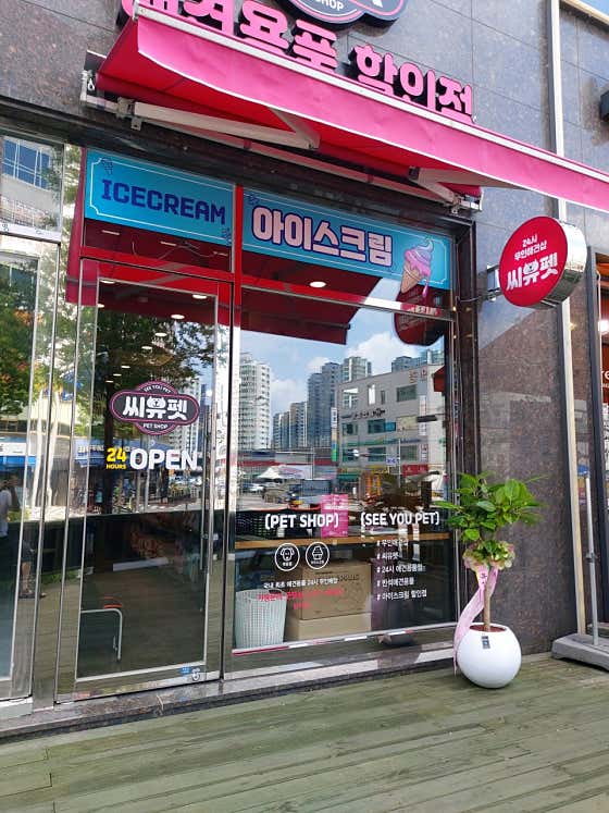 씨유펫 대전반석점