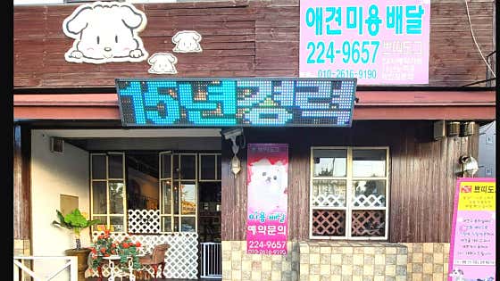 쁘띠도그 산수2호점 · 네이버 지도·플레이스 2