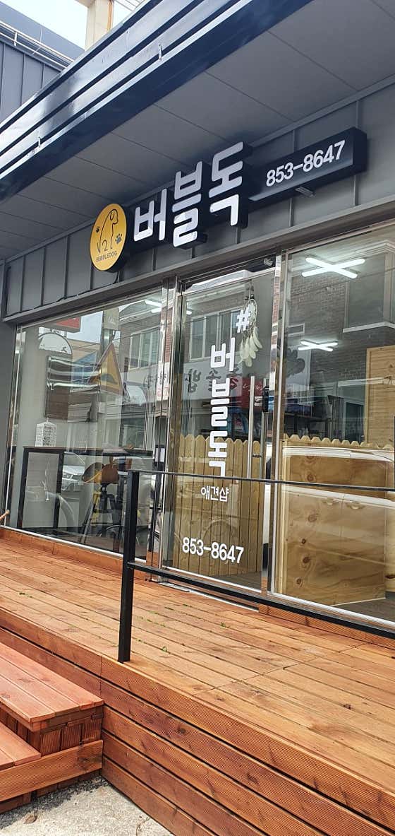 버블독 · 네이버 지도·플레이스 1