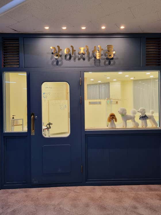 강아지 살롱