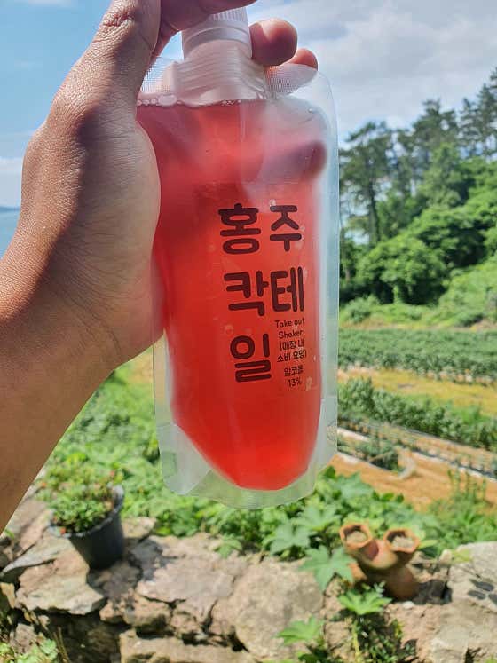 진도 홍주칵테일 · 네이버 지도·플레이스 2