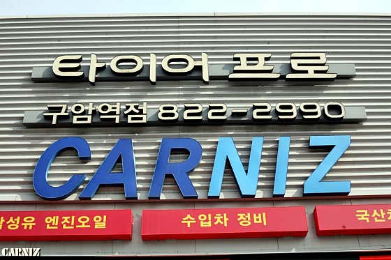 카니즈 사진