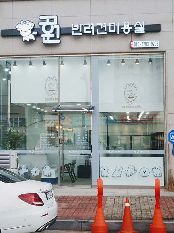 공원반려견미용실