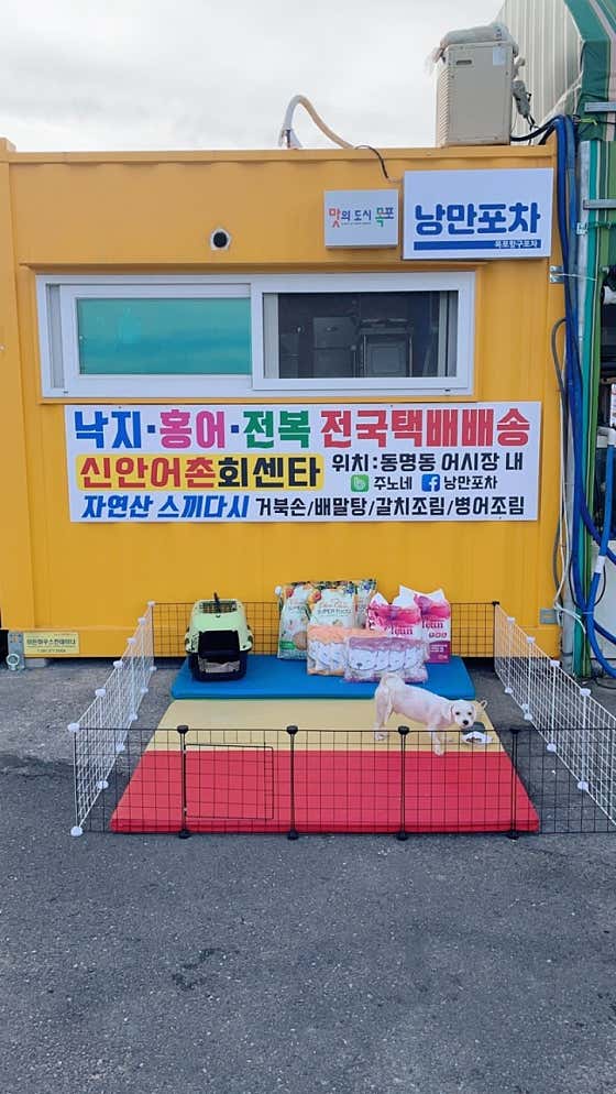 목포낭만포차 항구포차4호점 · 네이버 지도·플레이스 2