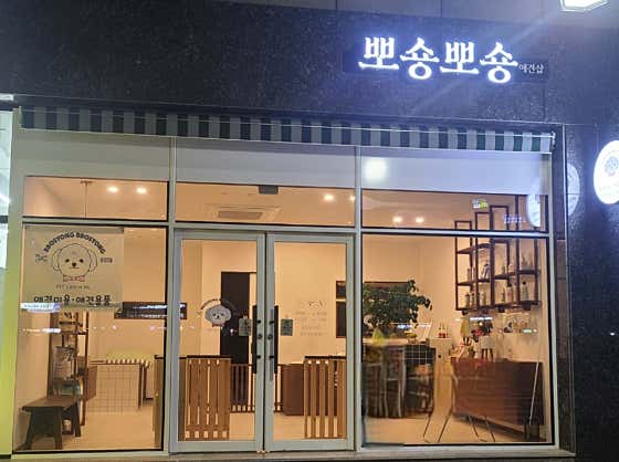 뽀숑뽀숑애견샵