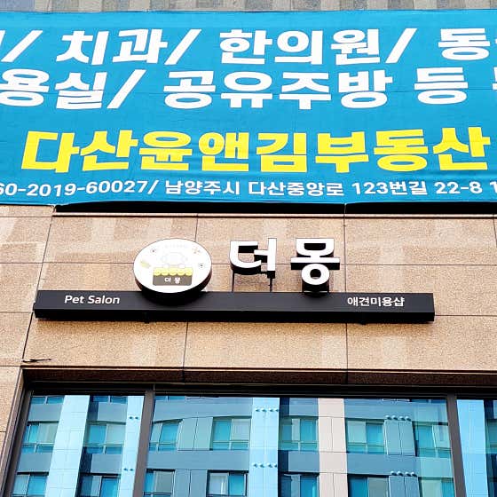 더몽 다산애견미용실 · 네이버 지도·플레이스 5