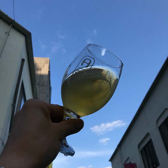 오늘의 생 맥주 메뉴 사진(네이버)