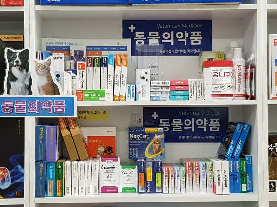 센타약국 · 네이버 지도·플레이스 2