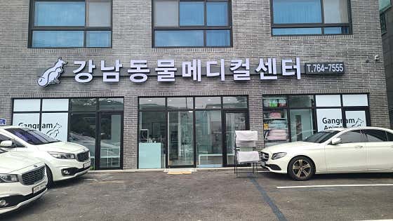 강남동물메디컬센터