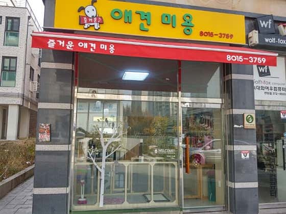 즐거운애견미용
