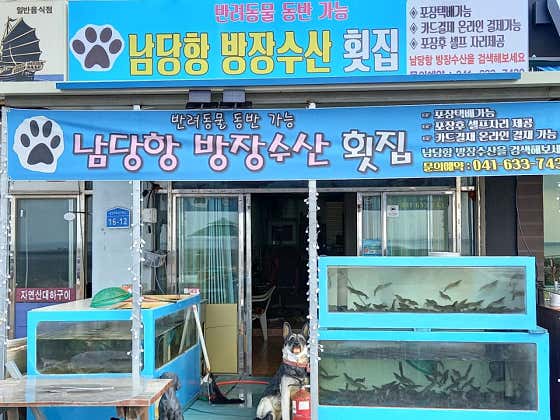남당항 방장수산