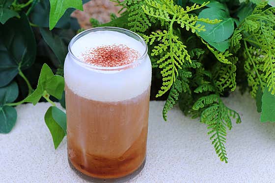 아인슈페너 메뉴 사진(네이버)