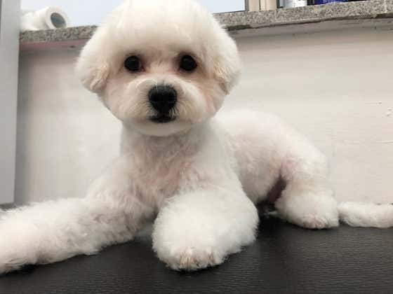 토토미용실 · 네이버 지도·플레이스 6