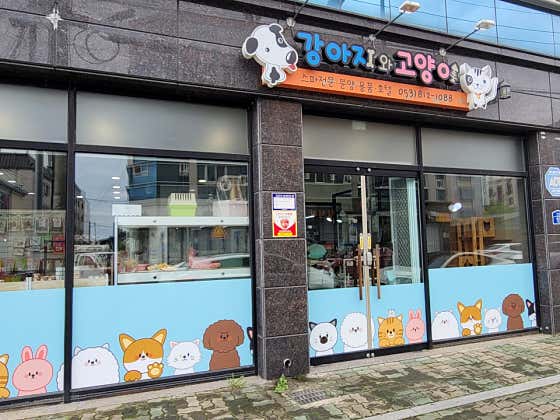 강아지와고양이