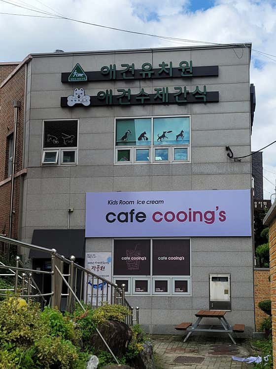 개린이보호구역