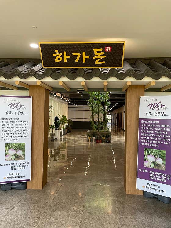 하가돈