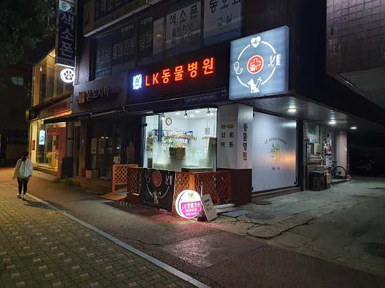 LK동물병원 대표이미지