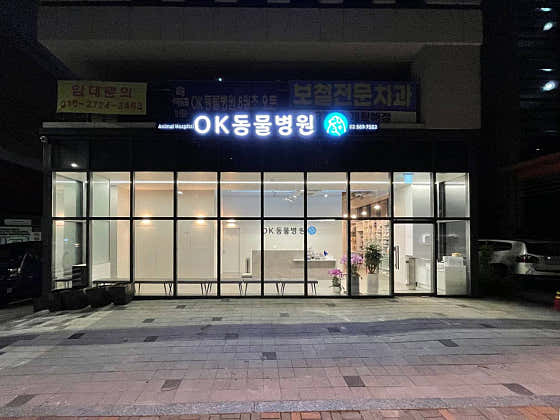 24시OK동물병원