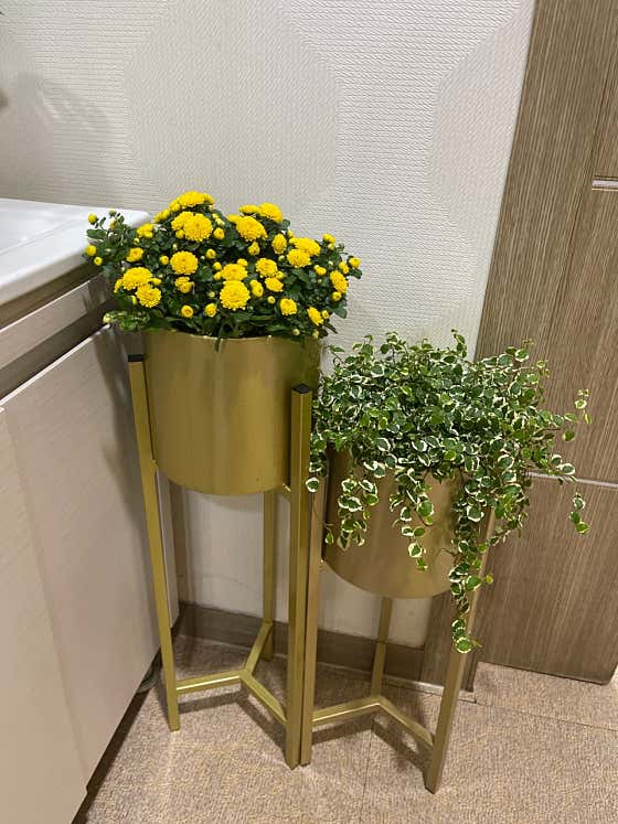 네이버 플레이스 황실건강관리센터 : 네이버