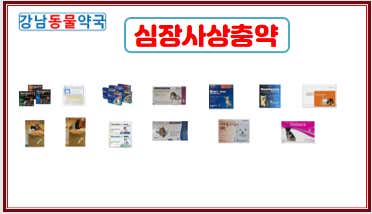 강남동물약국 · 네이버 지도·플레이스 8