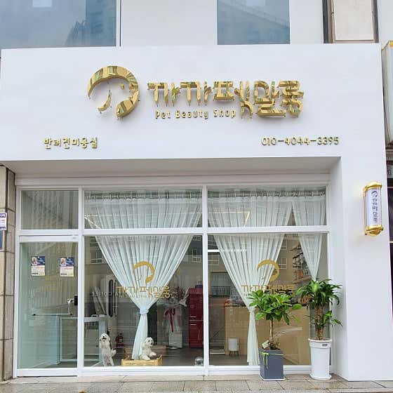 까까펫살롱 대표이미지