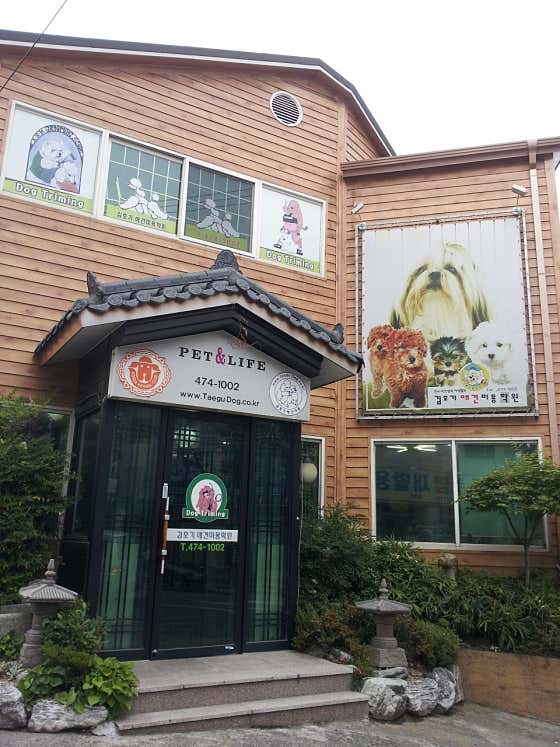 김호기애견전문미용학원 · 네이버 지도·플레이스 3
