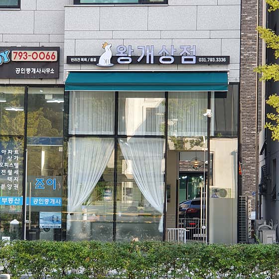왕개상점