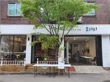 모지리