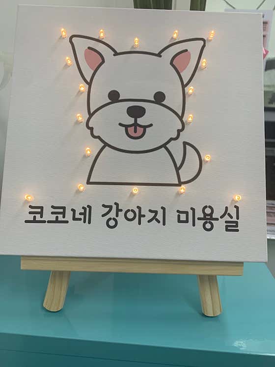 코코네강아지미용실