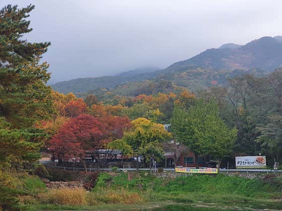 팔공산 영화식당 · 네이버 지도·플레이스 6