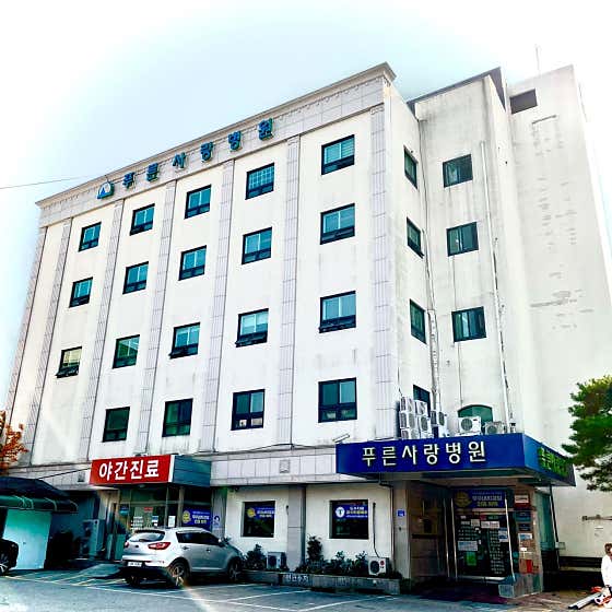 푸른사랑병원