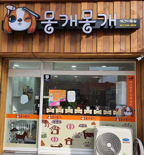 몽개몽개 애견미용실 대표이미지