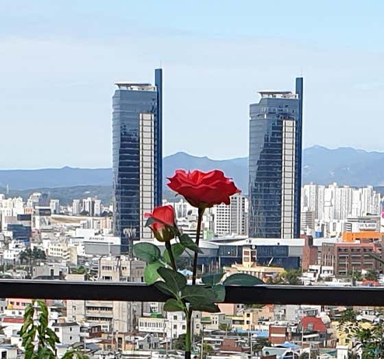 별빛이 흐르는 카페 · 네이버 지도·플레이스 3