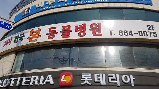 24시 건국 본 동물병원