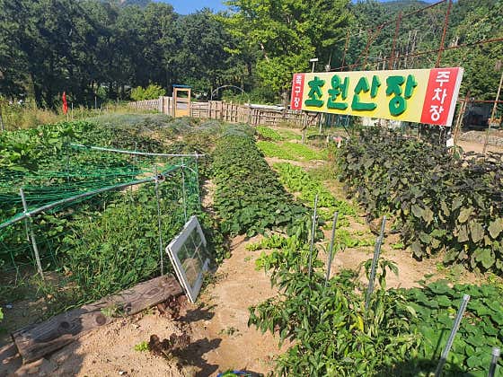 초원산장 · 네이버 지도·플레이스 8