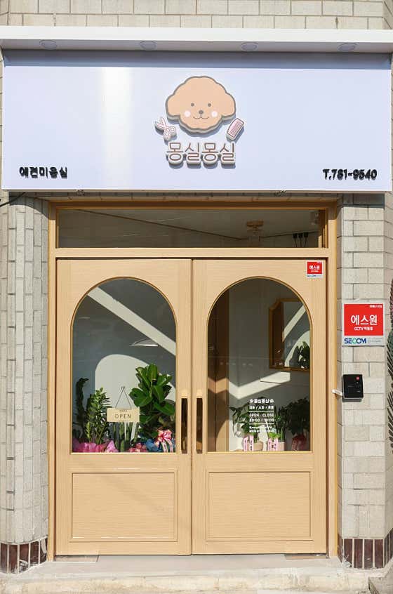 몽실몽실 대표이미지