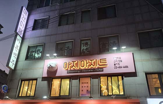 아지아지트 · 네이버 지도·플레이스 3