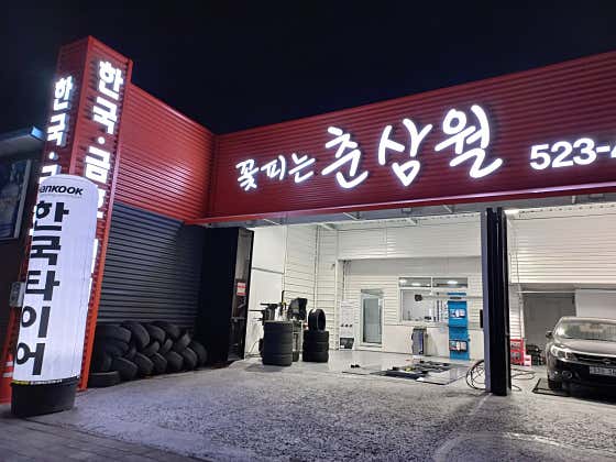 꽃피는 춘삼월 타이어 사진