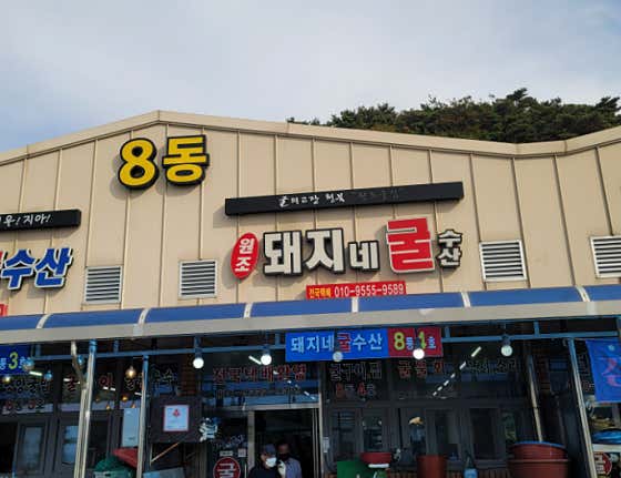 천북굴단지 돼지네굴수산