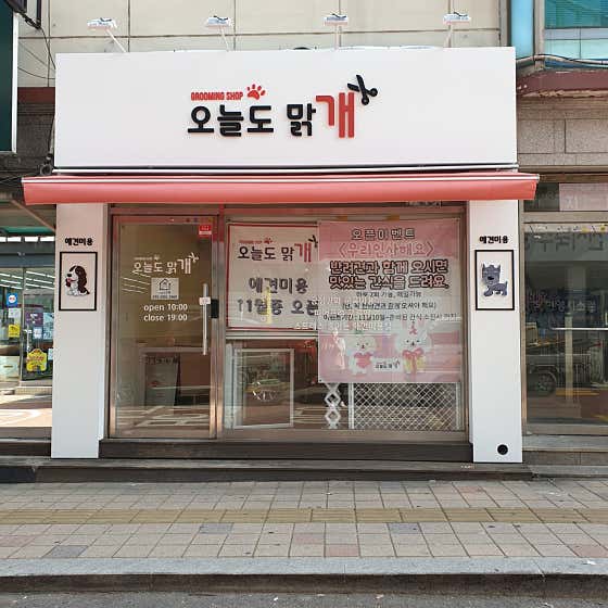 오늘도맑개 대표이미지