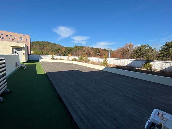멍지중지 애견유치원 · 네이버 지도·플레이스 3