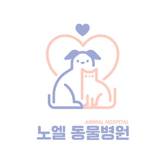 노엘동물병원 대표이미지