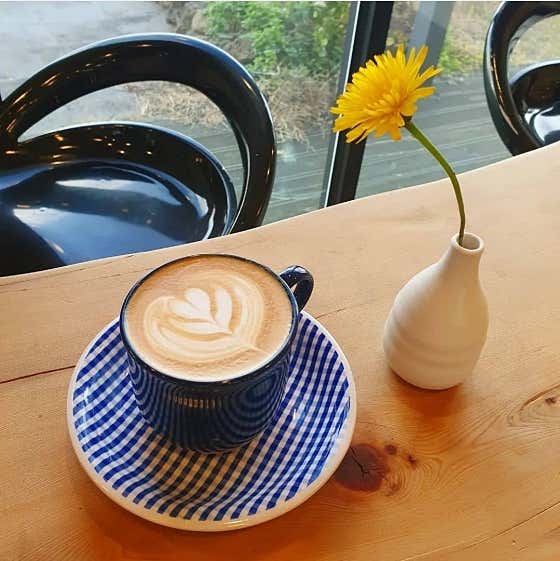 플랫화이트 flat white 메뉴 사진(네이버)