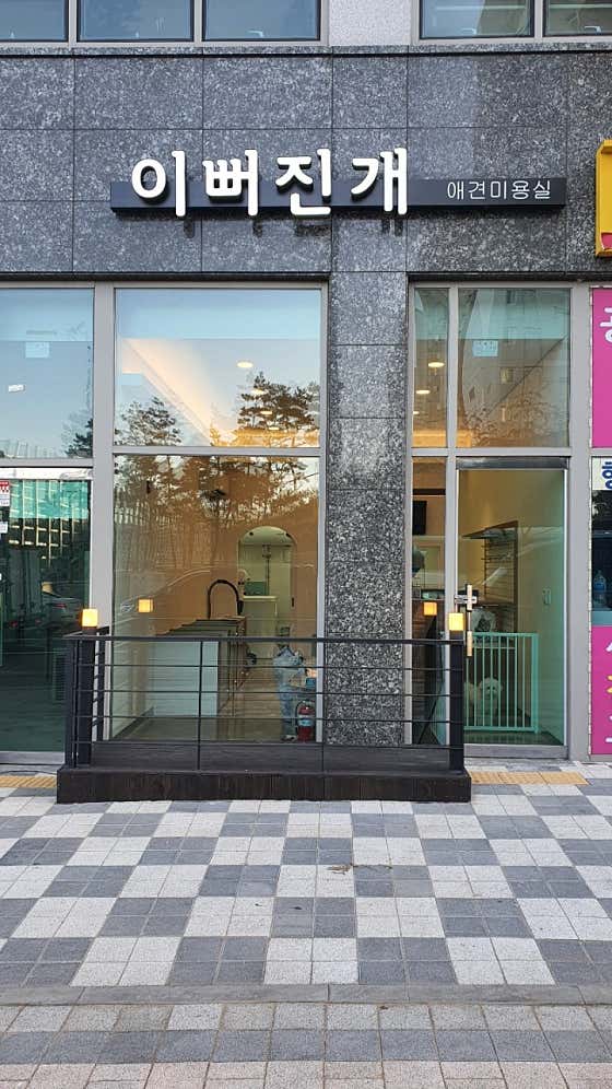 이뻐진개 · 네이버 지도·플레이스 4