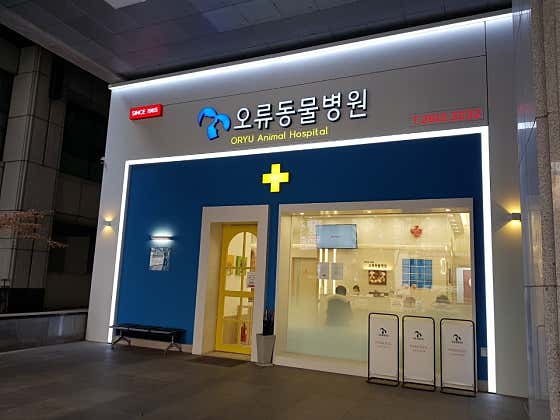 오류동물병원 대표이미지