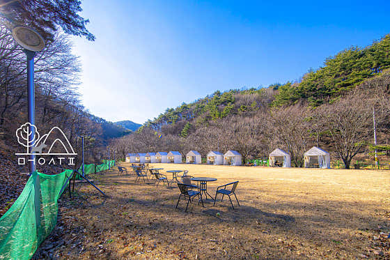 빠스통포레 · 네이버 지도·플레이스 3