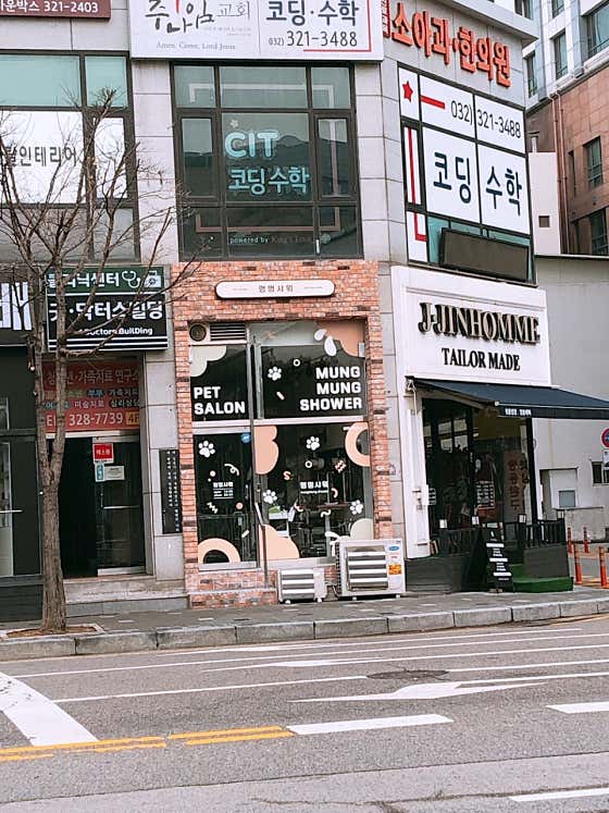 멍멍샤워 · 네이버 지도·플레이스 2