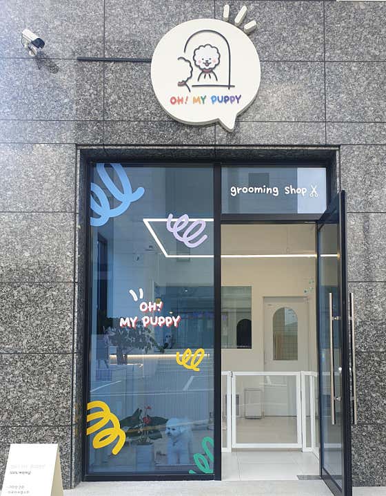 오마이퍼피 애견미용실 대표이미지