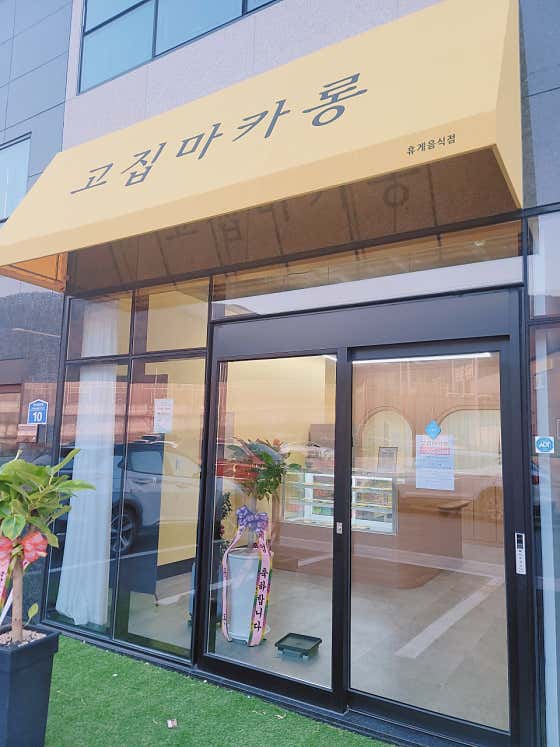 고집마카롱 · 네이버 지도·플레이스 4
